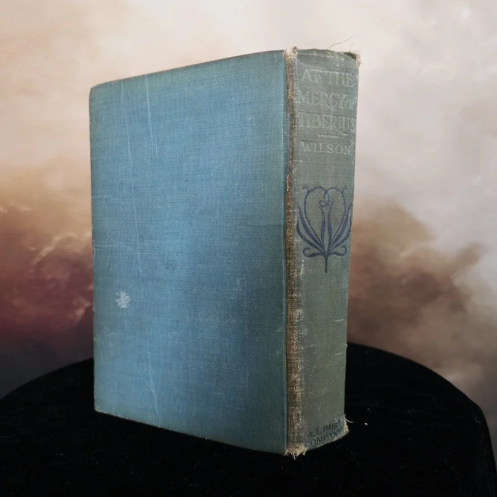 At the Mercy of Tiberius Hard Cover Book 1887 Antiquarian Antique Novel Augusta